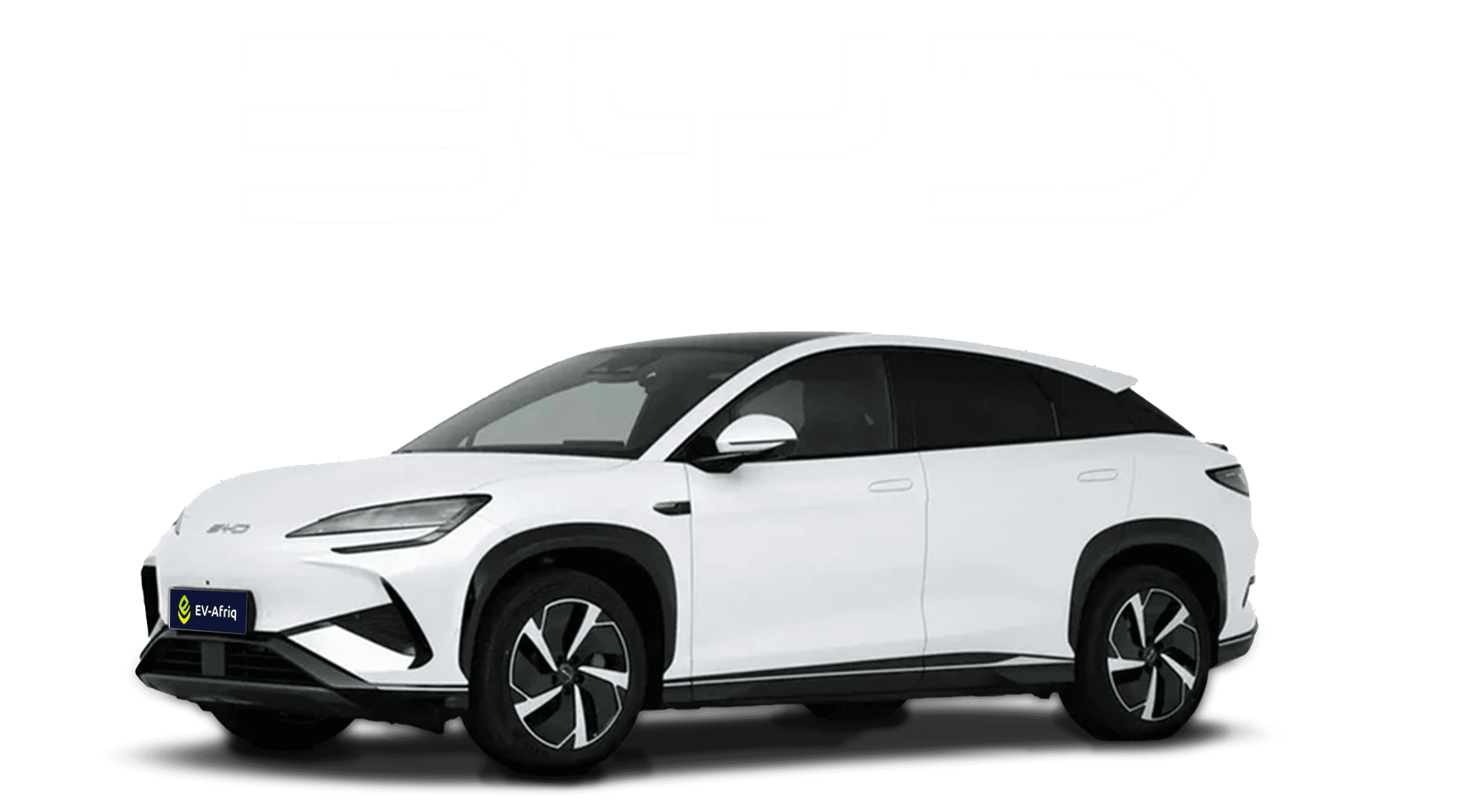 BYD Sea Lion