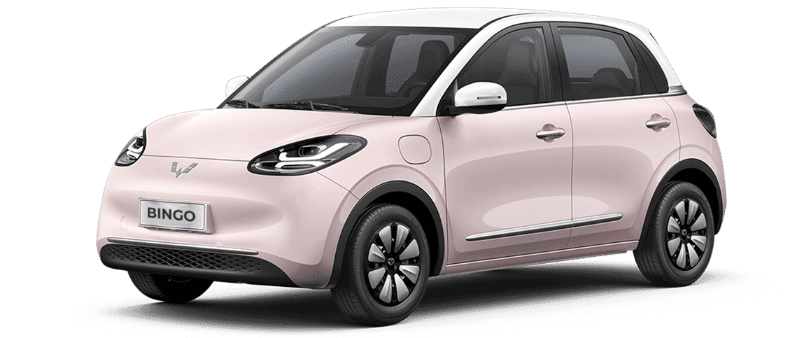 Wuling Bingo